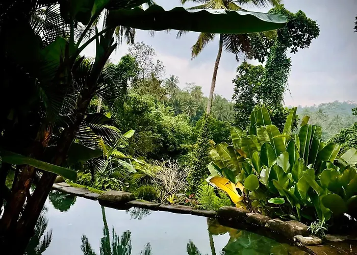 Thermae Of Ubud Villa *